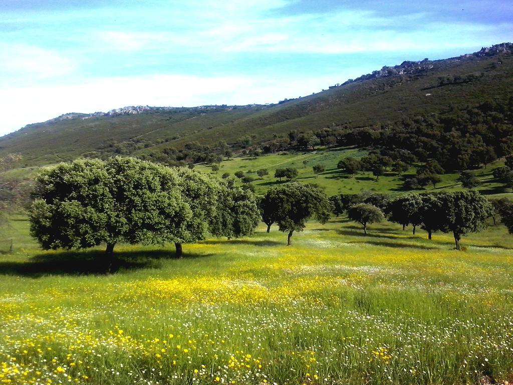 Casa Rural La Sierra De Monfraguee Malpartida de Plasencia Kültér fotó